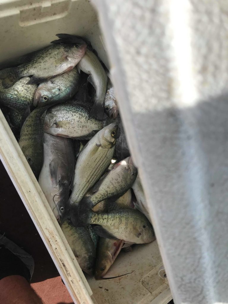 Vest Fishing Guide Service Lake Lewisville TX Catch the Crappie 19